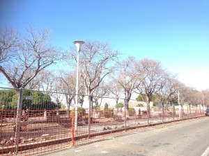 Viale Buoncammino transennato.