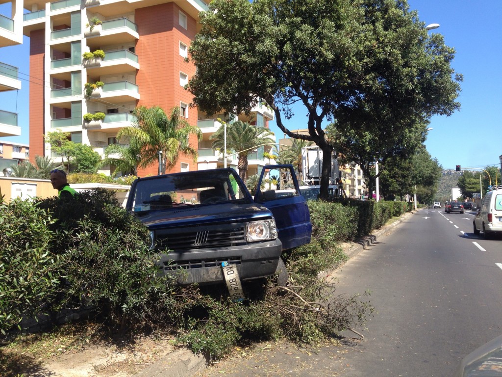 L'auto finita sui cespugli.