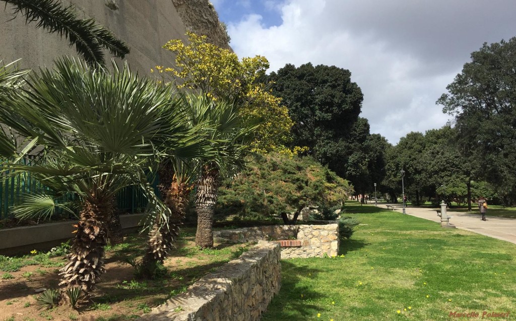 La bellezza del Giardino pubblico di Cagliari
