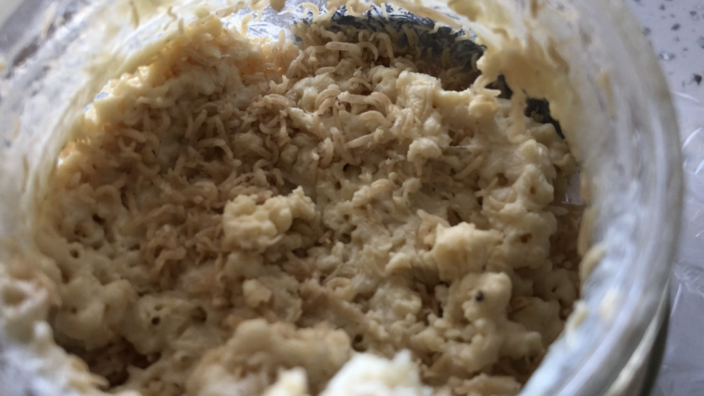 Fico! 46+ Verità che devi conoscere Formaggio Sardo Con Vermi In
