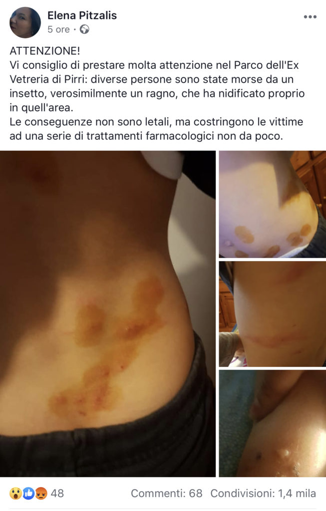 Punture insetti pirri