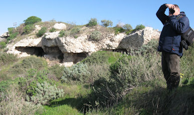 I sepolcri romani di Tuvixeddu