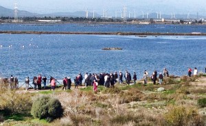 La laguna di Santa Gilla in una immagine di Marcello Polastri
