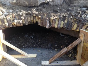 Cloaca4