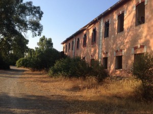 Siliqua_ex_polaveriera2