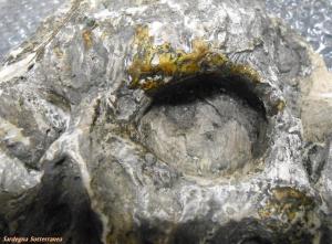Dettaglio orbita