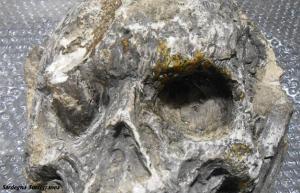 Il cranio misterioso
