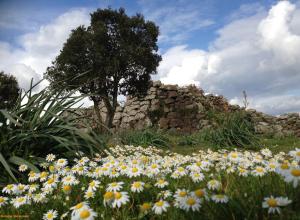 Nuraghe_Polastri