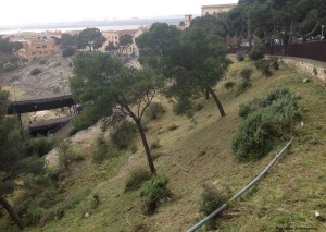 Anfiteatro_Cagliari_Pulizia2