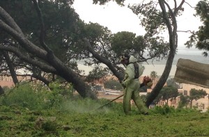 Anfiteatro_Cagliari_pulizia_1
