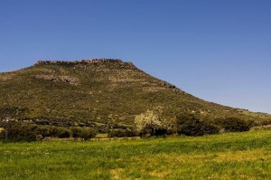 Sulcis
