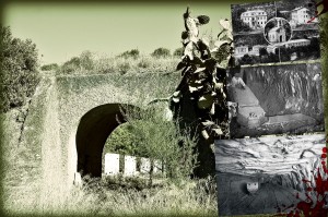 Banner_Arsia_Polastri - Copia