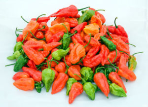 Peperoncini_piccanti