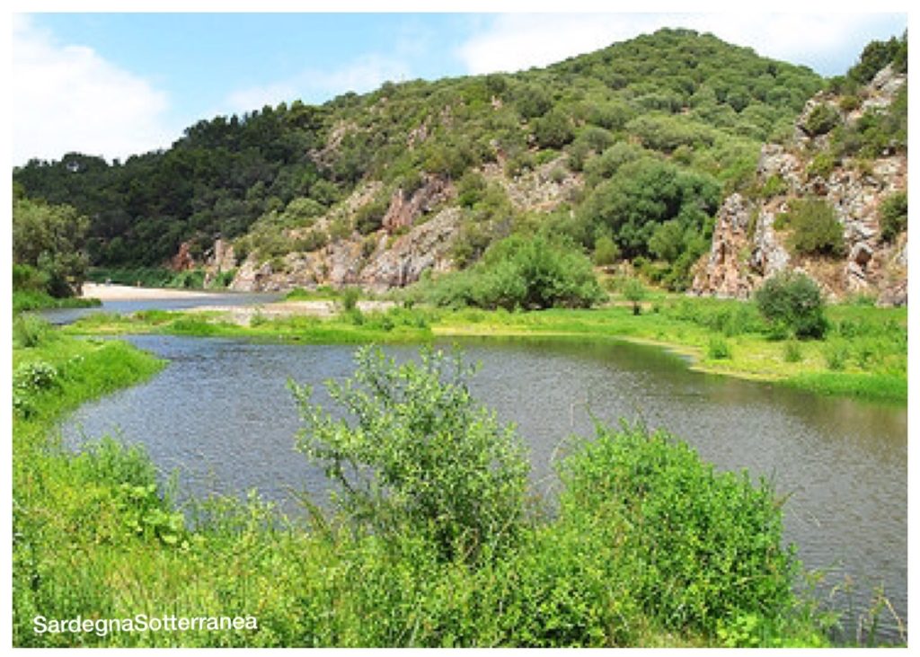 Il fiume Tirso