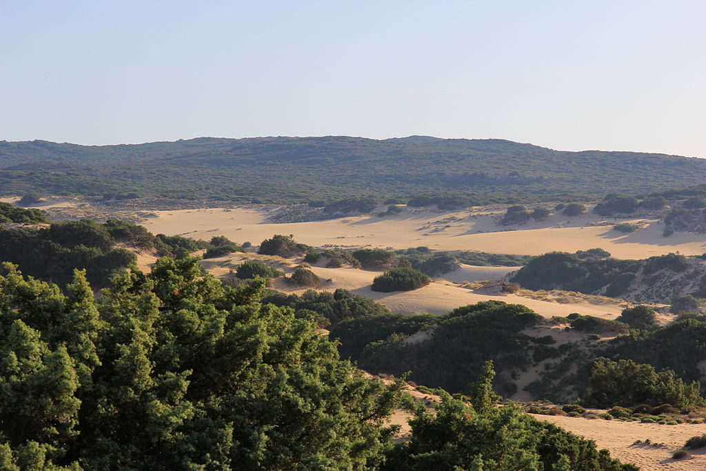 Dune di Piscinas