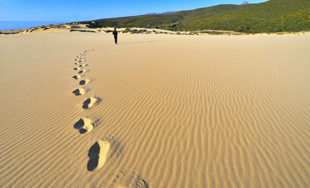 Dune sardegna